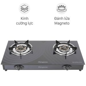 Bếp Gas đôi